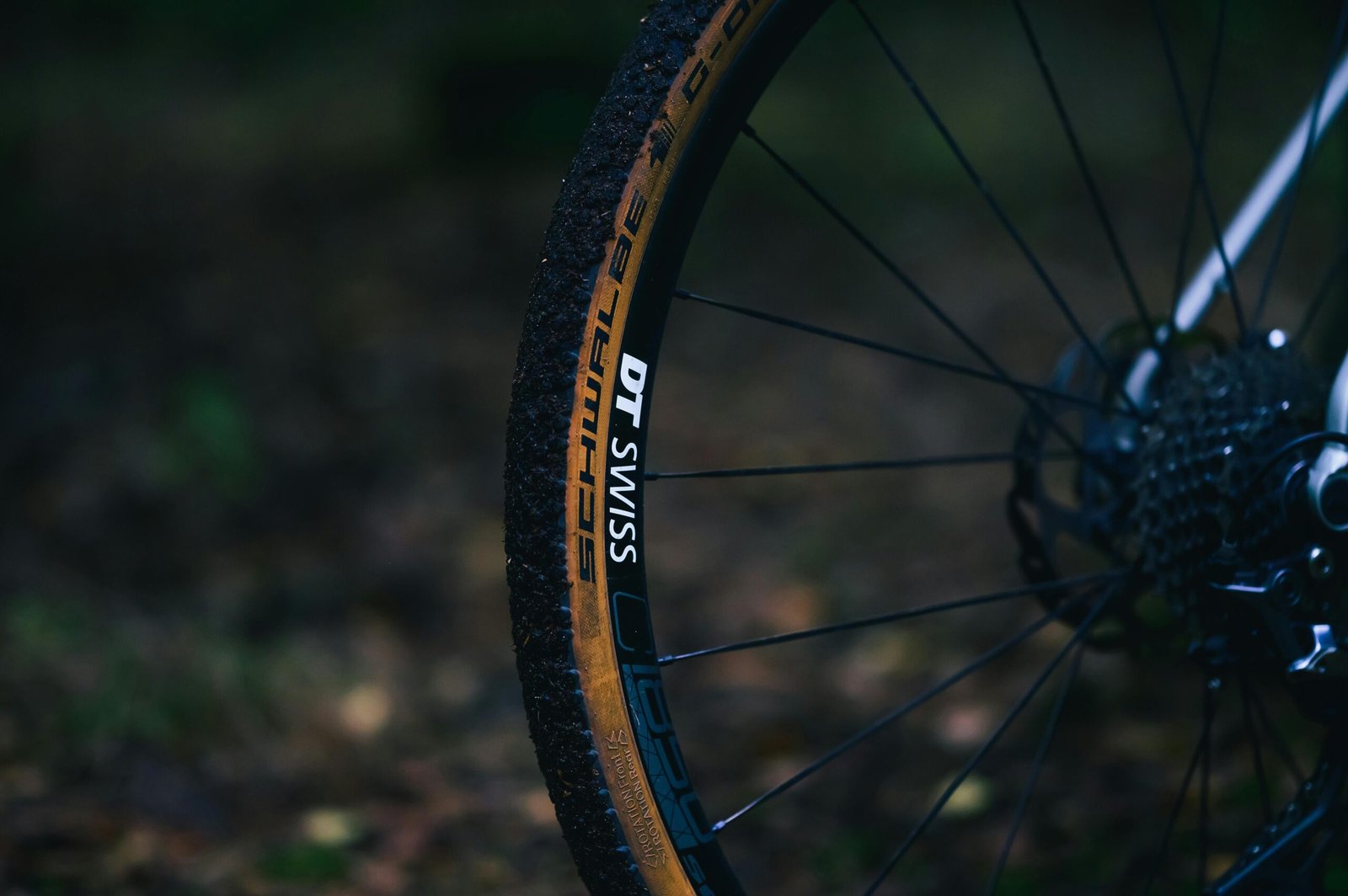 Detailed shot of a bicycle wheel in a natural outdoor environment.